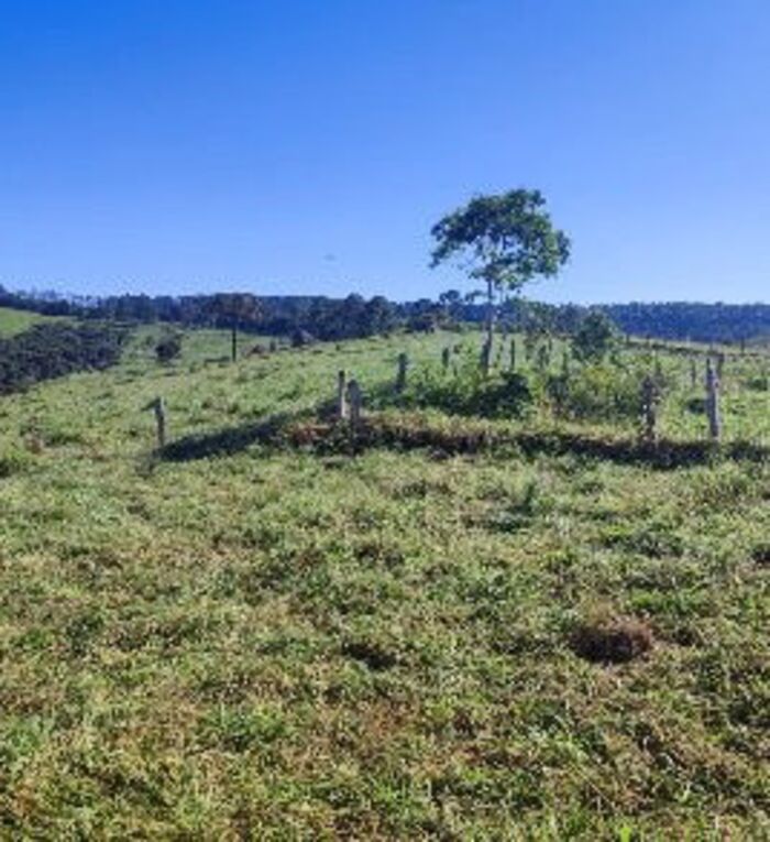 Área plantável da fazenda, ainda em pasto